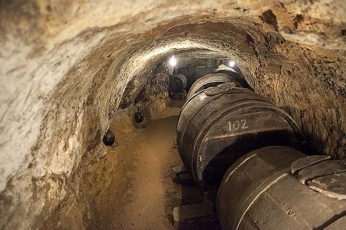 Casa Rural La Prensa De Vino Hotel Сан Естебан де Гормаз Стая снимка